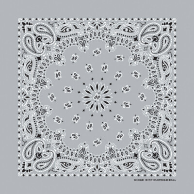 Carolina Creative Bandanna (Silver) Paisley Print 22