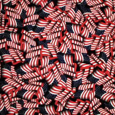 Carolina Creative Bandanna (Tossed American Flag) Patriotic 22