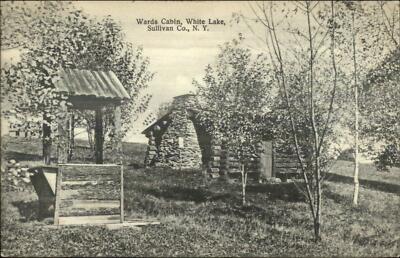 White Lake NY Wards Cabins Sullivan County c1910 Postcard-image