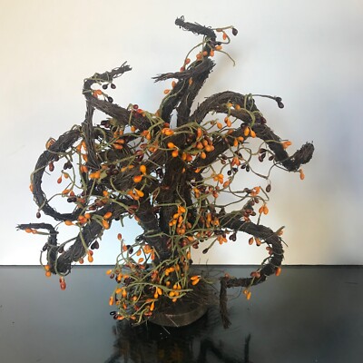 Halloween Orange Pip Berry Haunted Tree Vortex Twisted Sedona Tree 13