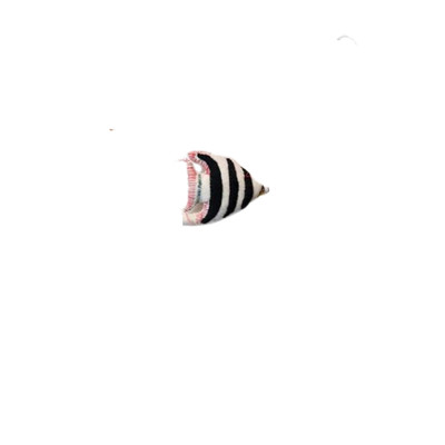 Creative Co-op Angel Fish Ornament Bauble-image