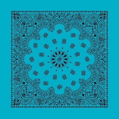Carolina Creative Bandanna (Turquoise) Contemporary Paisley 22 x 22 100% Cotton-image