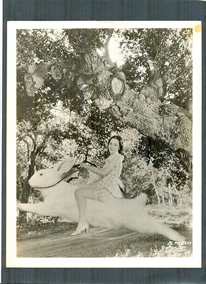 MAUREEN O'SULLIVAN RIDES A GIANT RABBIT - 1930s EASTER HOLIDAY PUBLICITY PHOTO-image