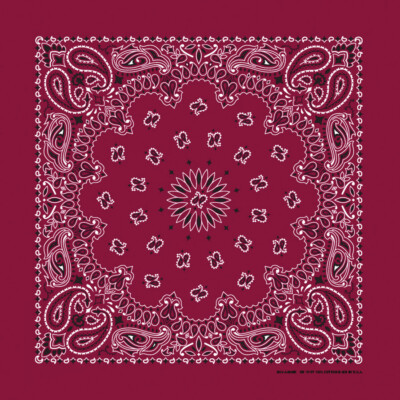 Carolina Creative Bandanna (Burgundy) Paisley Print 22