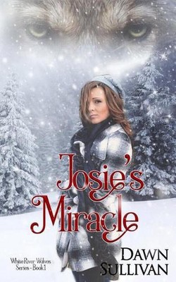 Josie's Miracle by Dawn Sullivan (English) Paperback Book-image
