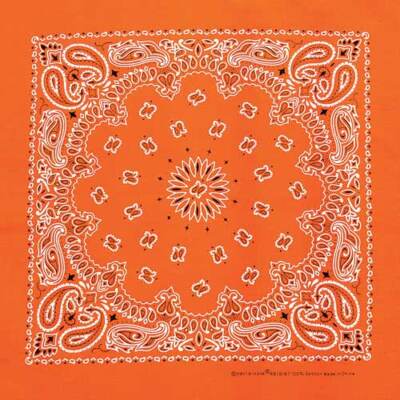 Carolina Creative Bandanna (Neon Orange) Paisley Print 22