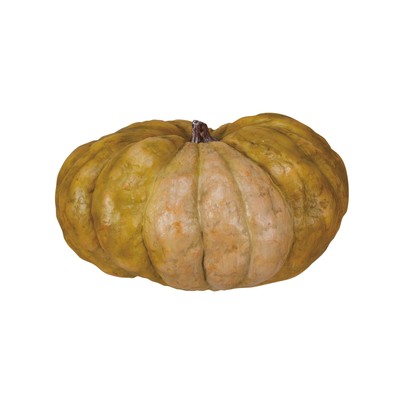 Wide Resin Pumpkin with Stone Finish, Orange-image