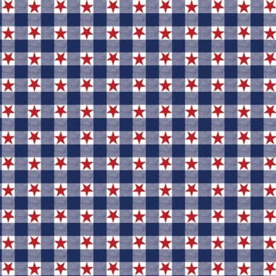 Carolina Creative Bandanna (Patriotic Check) 22