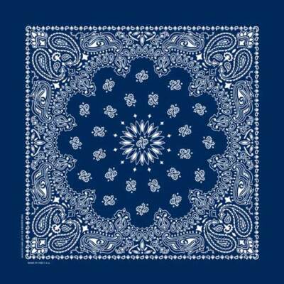 Carolina Creative Bandanna (Navy Blue) Paisley Print 22