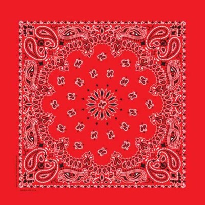 Carolina Creative Bandanna (Red) Farmer Paisley 17