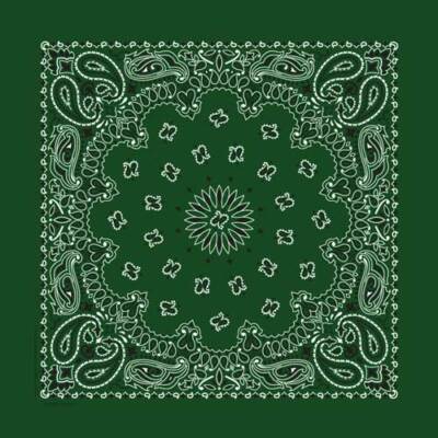 Carolina Creative Bandanna (Hunter Green) Paisley Print 22