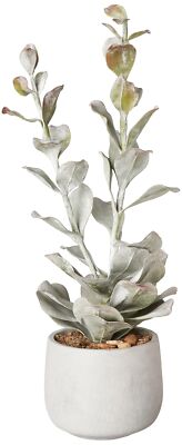 Creative Co-Op Faux Succulent in Cement Pot-image