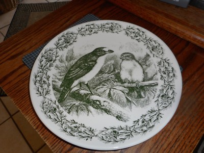 Creative Co-Op Wild Life BIRDS 11