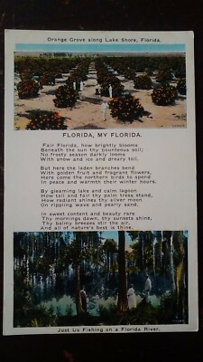 Florida, My Florida (Poem), Orange Grove along Lake Shore  - Early-Mid 1900s-image