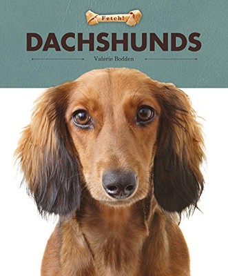 Creative Paperbacks 76576 Dachshunds Fetch-image