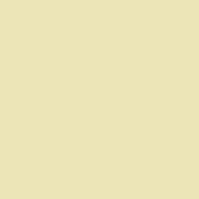 Carolina Creative Bandanna (Natural Beige) Solid Print 22