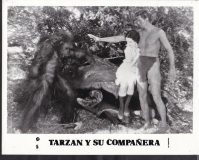 Johnny Weissmuller Marueen O'Sullivan Tarzan and His Mate R1960s photo 49626-image