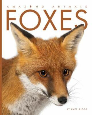 Foxes by Riggs, Kate-image