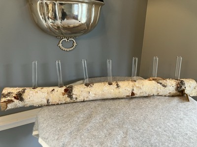 Creative Co-op 7 Glass Tube Vases In Birchwood Log Base NWT/box-image