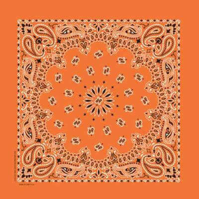 Carolina Creative Bandanna (Orange) Paisley Print 22