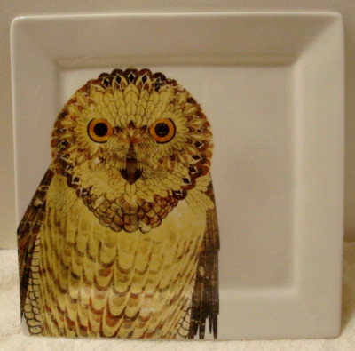 Vtg Short-eared Owl Square Dinner Plate 10