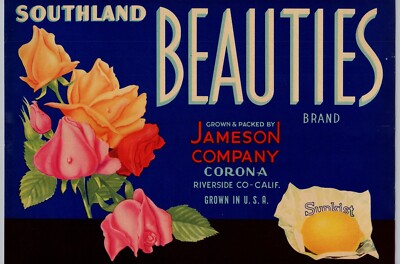 Southland Beauties, Vintage Mid-Century Orange Fruit Crate Label, Cool Art  A2-image