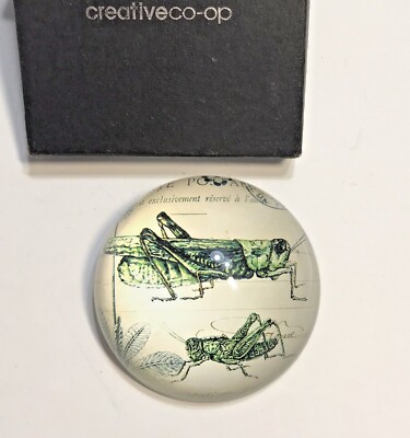 NIB Creative Co-op Grasshopper Glass Paperweight Home or Office Collectible-image