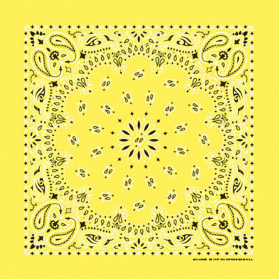 Carolina Creative Bandanna (Yellow) Paisley Print 22